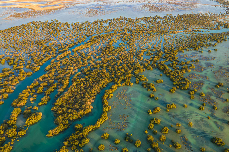 Guardians of the Shoreline:: A Message from the UAE