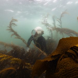 Storytelling for Science by Jennifer Adler