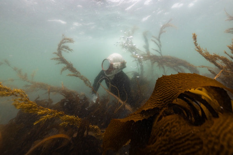 Storytelling for Science by Jennifer Adler