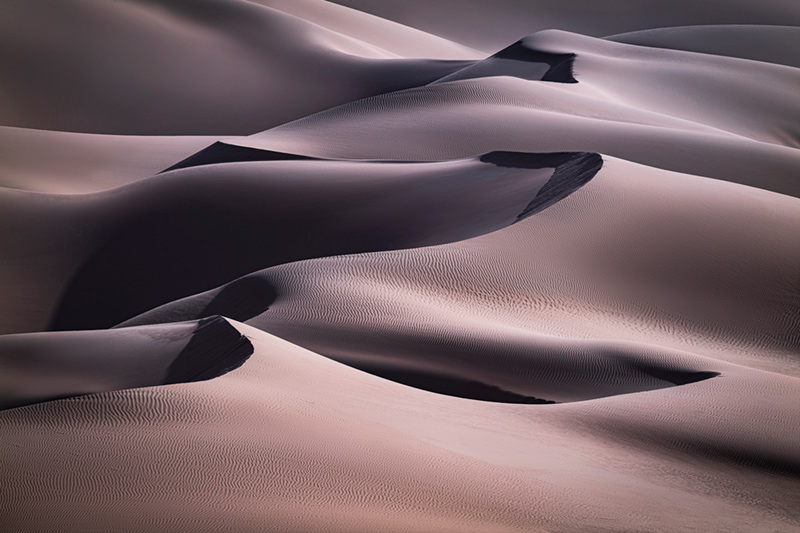 The Desert Found Me by Virginie Ellis