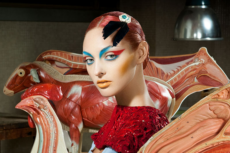 Lucia Giacani Exhibition Tour