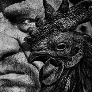 How to Build Trust in Difficult Places by Tomasz Tomaszewski