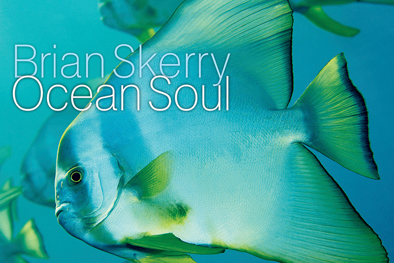 Ocean Sould by Brian Skerry