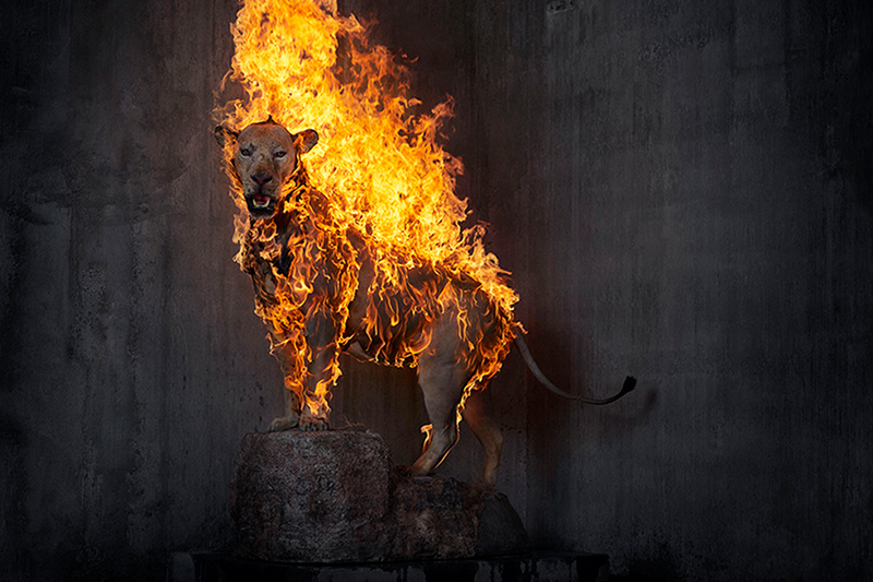 Residence of Imepermanence by Christian Houge