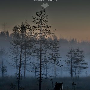 Guardians of the Forest