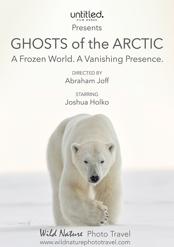 Ghosts of the Arctic