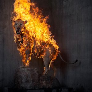 Art and Sustainability: Nature