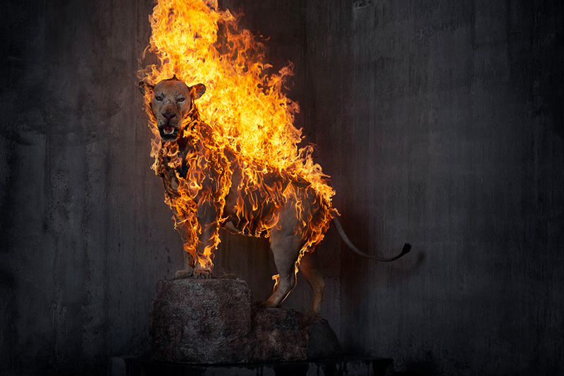 Art and Sustainability: Nature