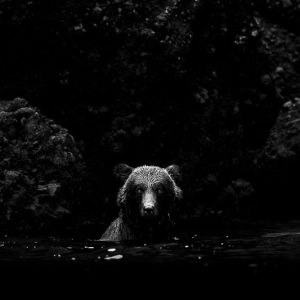 Questions Without a Brief