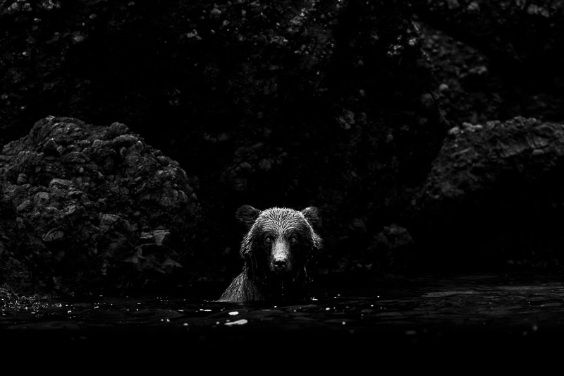 Questions Without a Brief