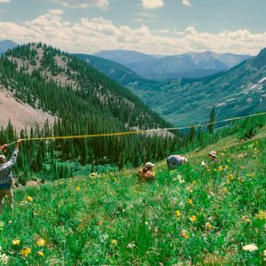 The Art of Pitching: How Photographers Sell Ideas