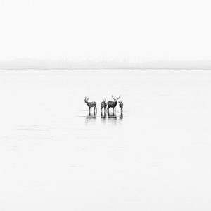 The Art of Subtraction