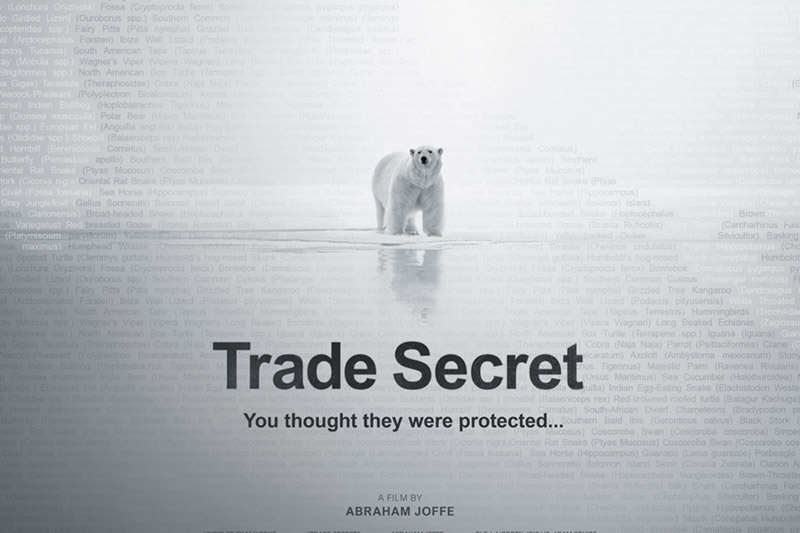 Trade Secret