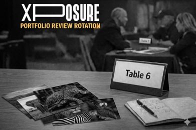 Portfolio Review Rotation